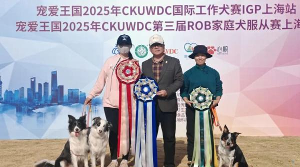 沪上萌宠大比拼，ROB家庭犬服从赛推动科学养宠新风尚-宠爱王国2025年CKUWDC家庭犬服从赛ROB上海站赛后报道
