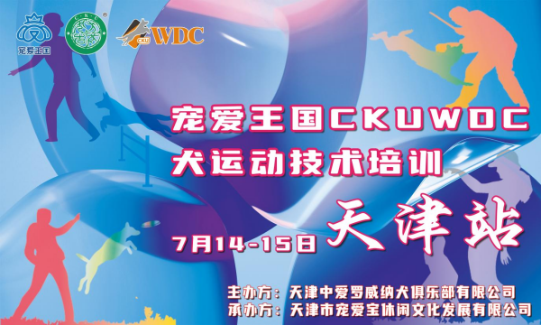 两天干货拉满｜宠爱王国 CKUWDC 天津犬敏捷实训课，和毛孩子一起解锁竞技乐趣
