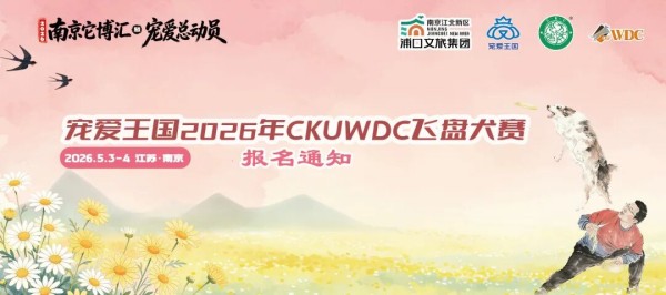 宠爱王国2026年CKUWDC犬飞盘赛南京站报名通知