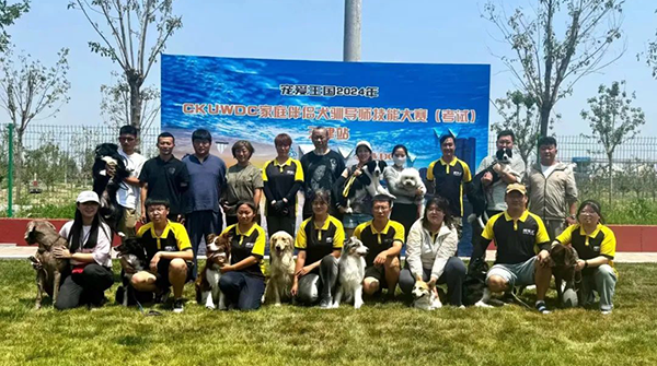 2024年第二期CKUWDC家庭伴侣犬驯导师资质培训考试天津站圆满收官